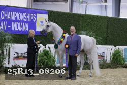 25R13_08206 thumbnail