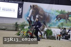 25R13_08208 thumbnail