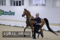 25R13_08211 thumbnail