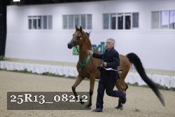 25R13_08212 thumbnail