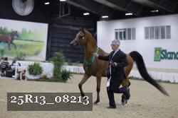 25R13_08213 thumbnail