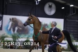 25R13_08214 thumbnail