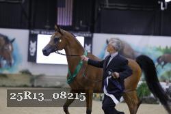 25R13_08215 thumbnail