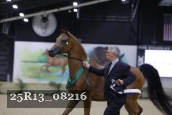 25R13_08216 thumbnail