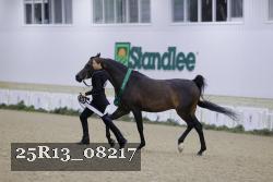 25R13_08217 thumbnail