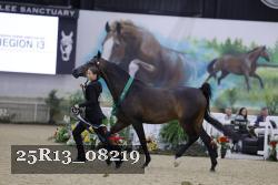 25R13_08219 thumbnail