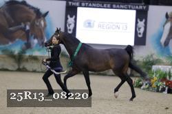 25R13_08220 thumbnail