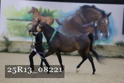 25R13_08221 thumbnail