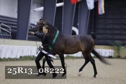 25R13_08222 thumbnail