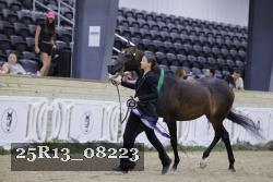 25R13_08223 thumbnail