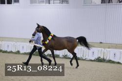 25R13_08224 thumbnail