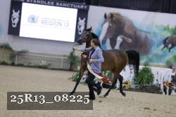 25R13_08225 thumbnail