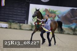 25R13_08227 thumbnail