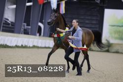 25R13_08228 thumbnail