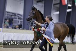 25R13_08229 thumbnail