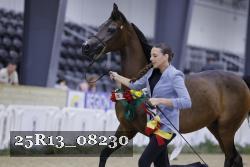 25R13_08230 thumbnail