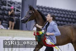 25R13_08231 thumbnail