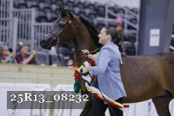 25R13_08232 thumbnail