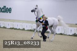 25R13_08233 thumbnail