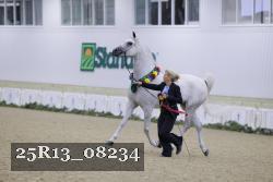 25R13_08234 thumbnail