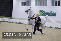 25R13_08235 thumbnail