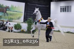 25R13_08236 thumbnail