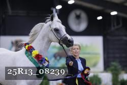 25R13_08239 thumbnail