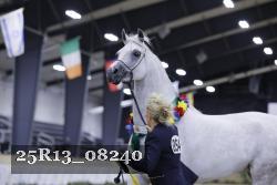 25R13_08240 thumbnail