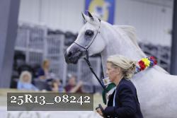 25R13_08242 thumbnail