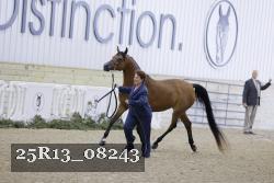 25R13_08243 thumbnail