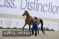 25R13_08244 thumbnail