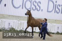 25R13_08245 thumbnail