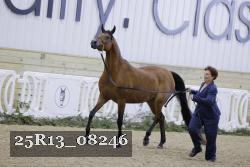 25R13_08246 thumbnail
