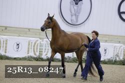 25R13_08247 thumbnail