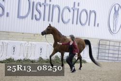 25R13_08250 thumbnail