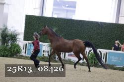 25R13_08426 thumbnail