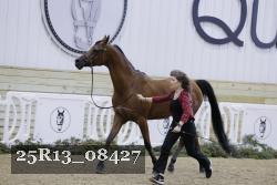 25R13_08427 thumbnail