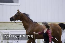 25R13_08429 thumbnail