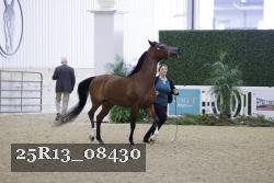 25R13_08430 thumbnail