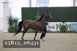 25R13_08431 thumbnail