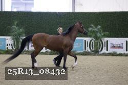 25R13_08432 thumbnail