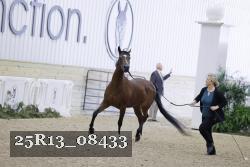 25R13_08433 thumbnail