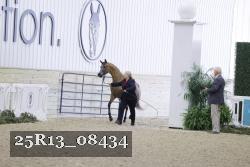 25R13_08434 thumbnail
