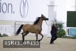 25R13_08435 thumbnail