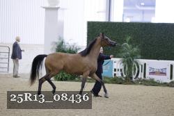 25R13_08436 thumbnail