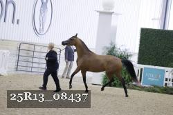 25R13_08437 thumbnail