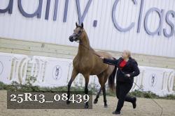 25R13_08439 thumbnail