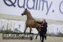 25R13_08440 thumbnail