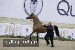 25R13_08441 thumbnail