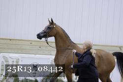 25R13_08442 thumbnail